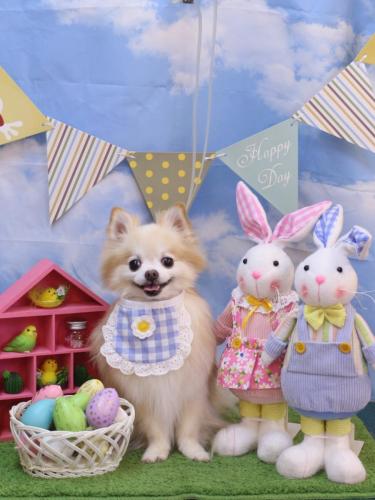 20240310小豆くん